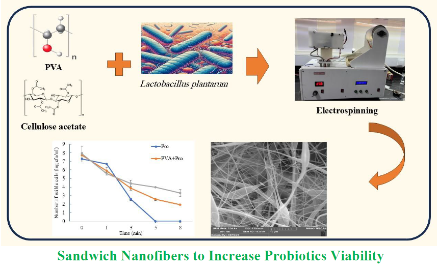 Sandwich Nanofibers to Increase Probiotics Viability 