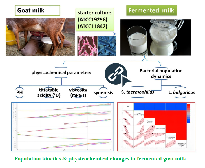 Population kinetics & physicochemical changes in fermented goat milk 