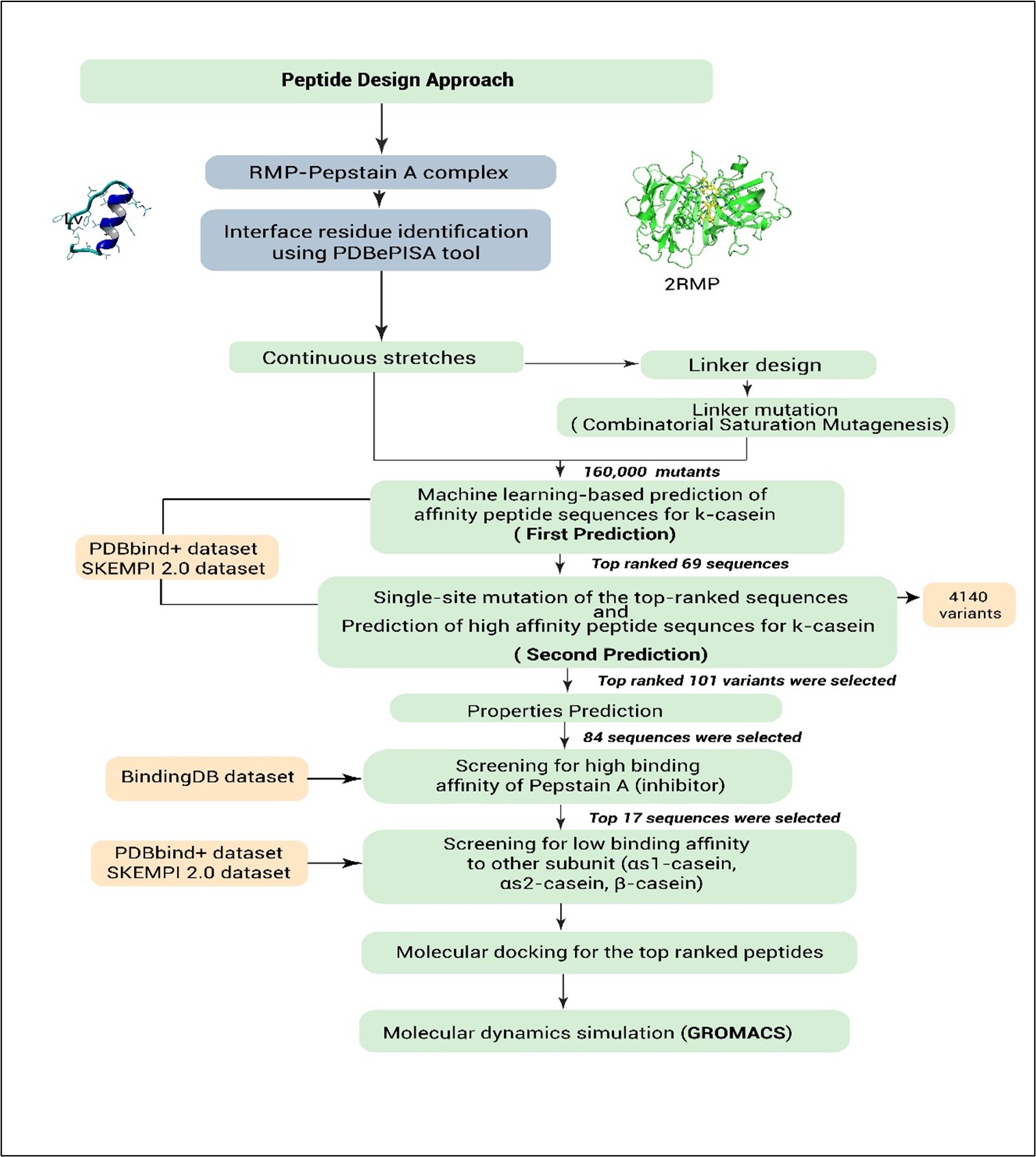 Computational milk-clotting peptides for cheese 