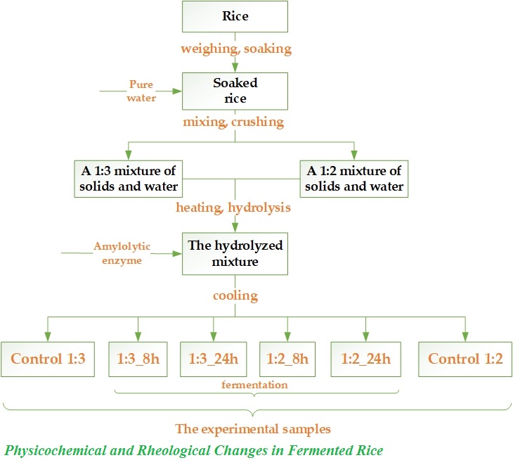 Physicochemical and Rheological Changes in Fermented Rice