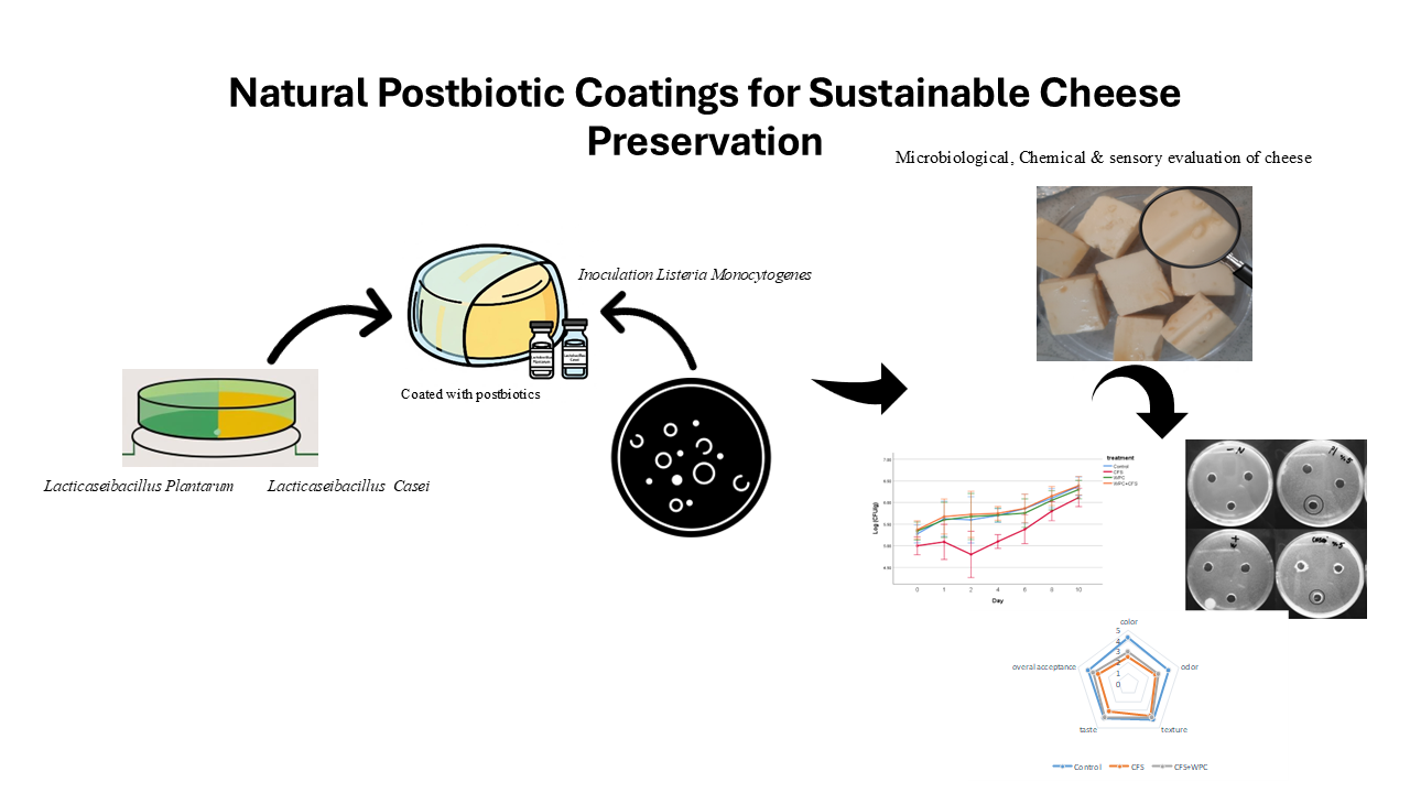 Cutting-Edge Cheese Crafting and Postbiotics