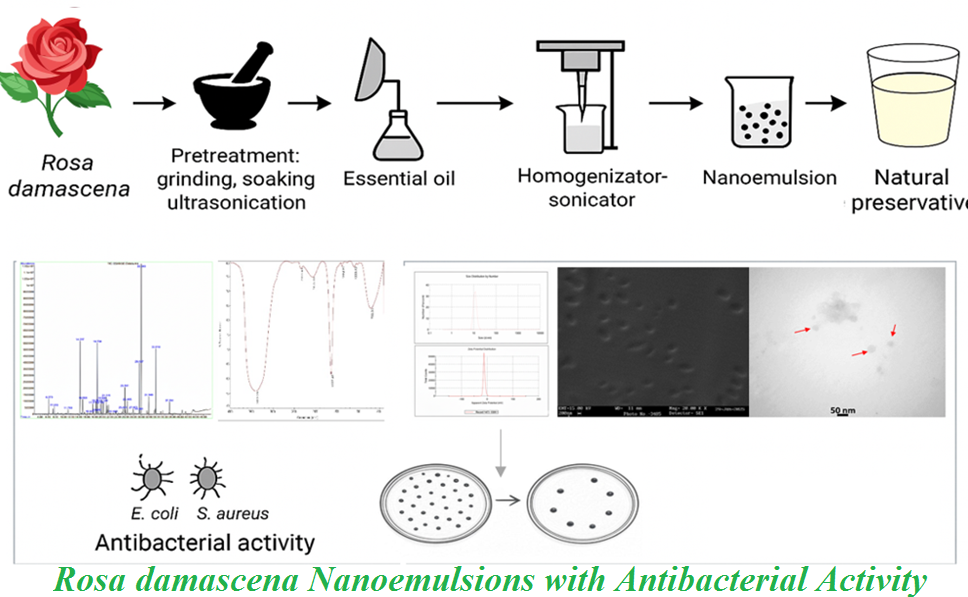 Rosa damascena Nanoemulsions with Antibacterial Activity