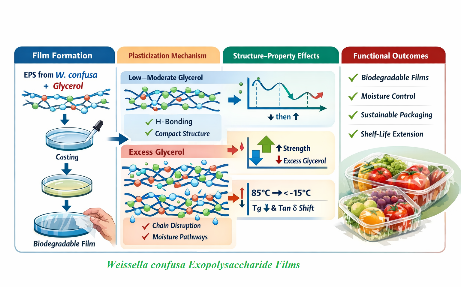 Weissella confusa Exopolysaccharide Films