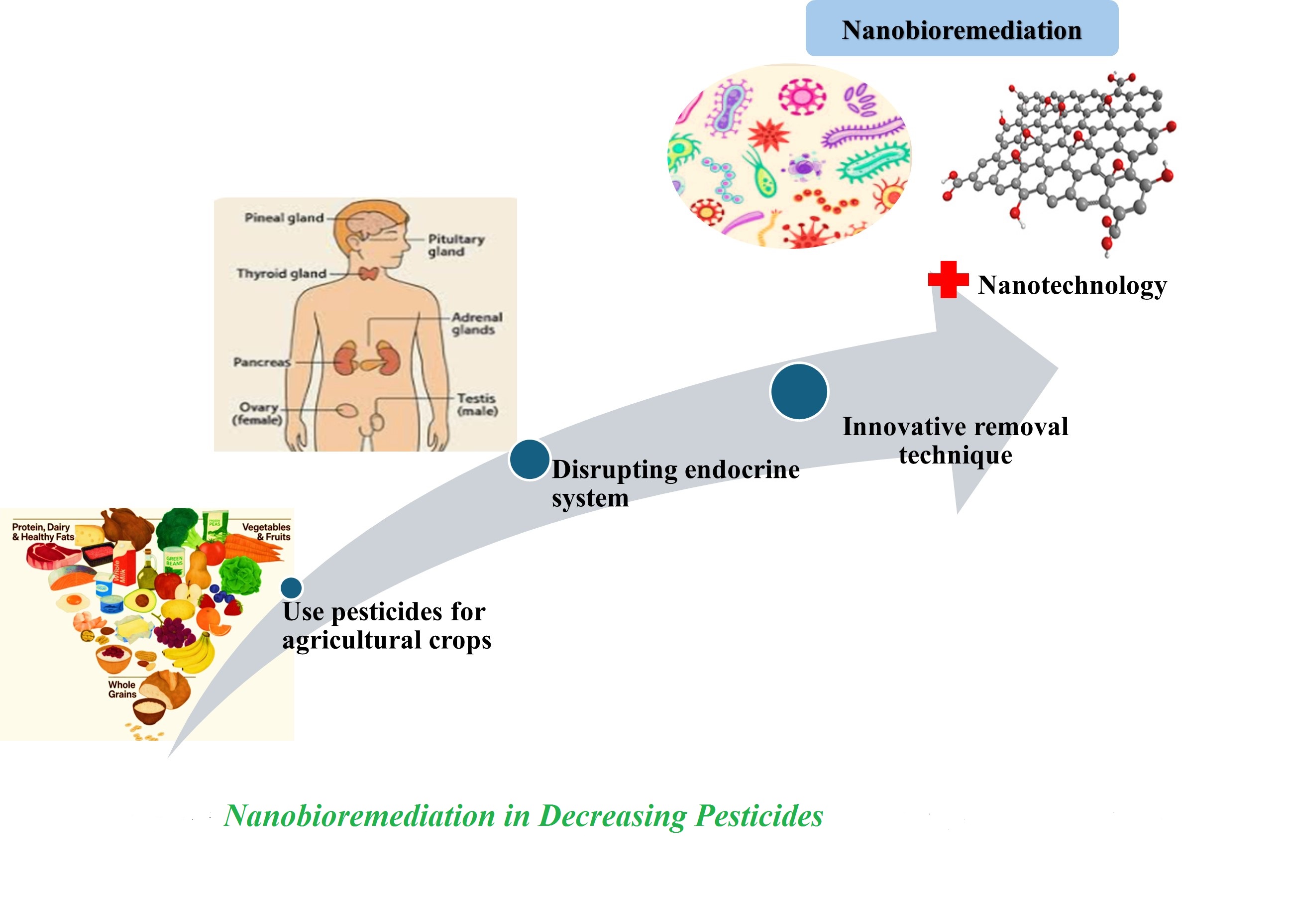 Nanobioremediation in Decreasing Pesticides 