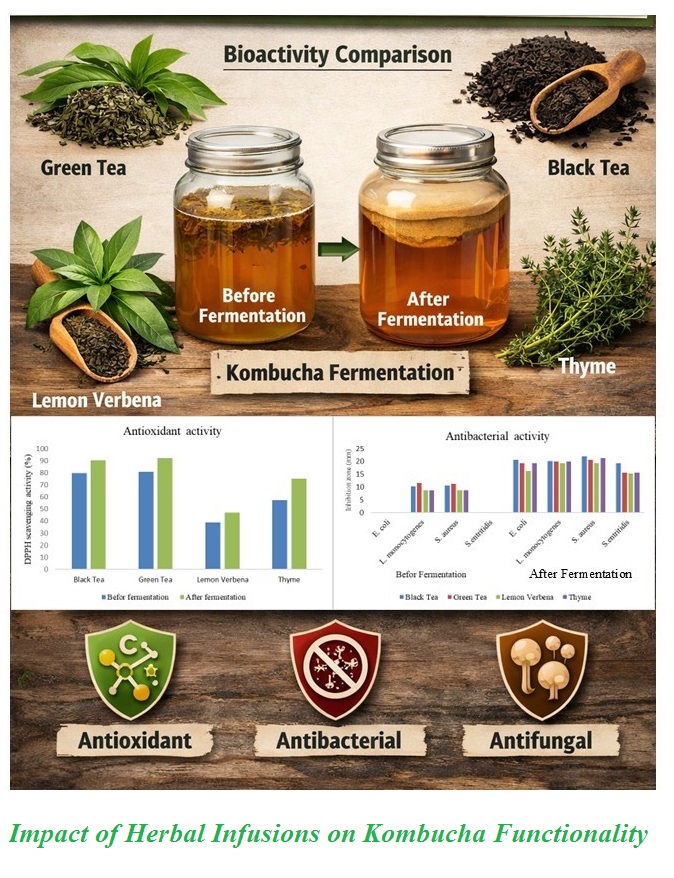 Impact of Herbal Infusions on Kombucha Functionality