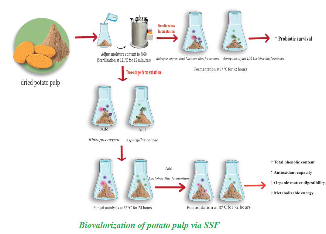 Biovalorization of potato pulp via SSF 