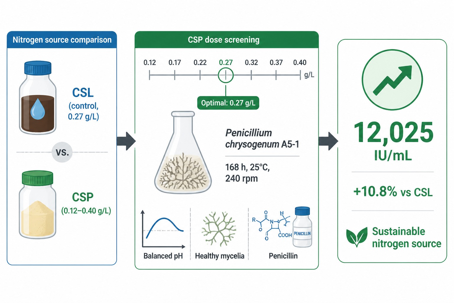 CSP Optimization for Penicillin Production 
